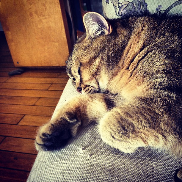 Von Instagram gerettet, leider kein Alt-Text. Sorry.