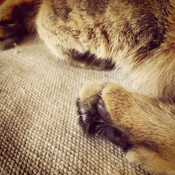 Von Instagram gerettet, leider kein Alt-Text. Sorry.