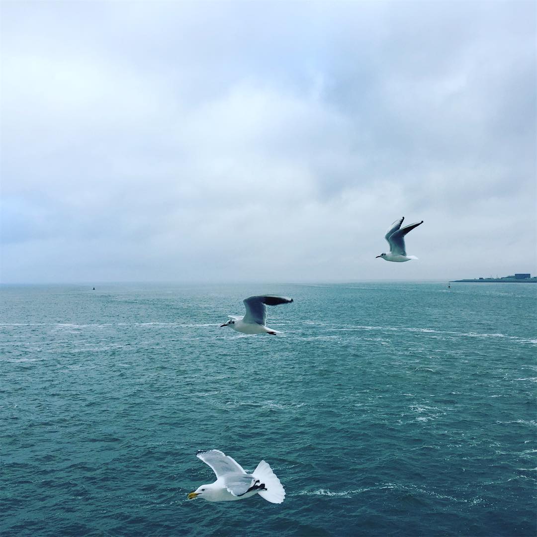 Von Instagram gerettet, leider kein Alt-Text. Sorry.
