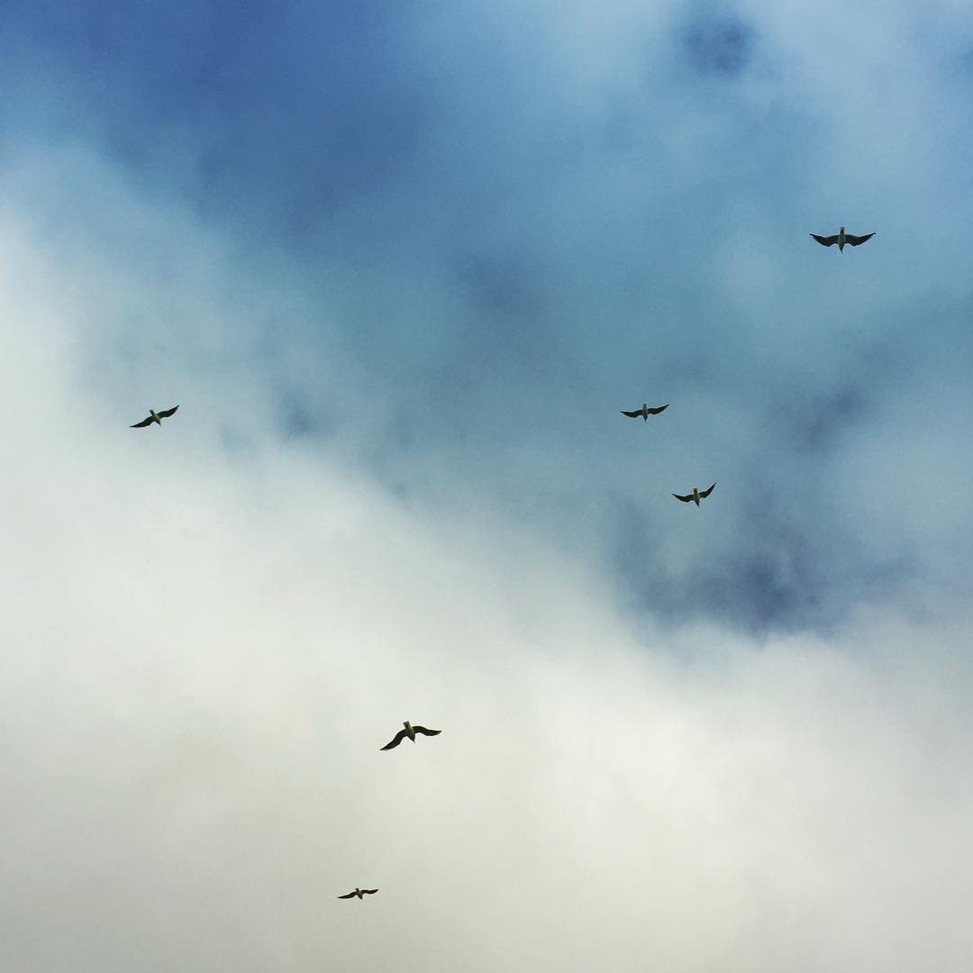 Von Instagram gerettet, leider kein Alt-Text. Sorry.
