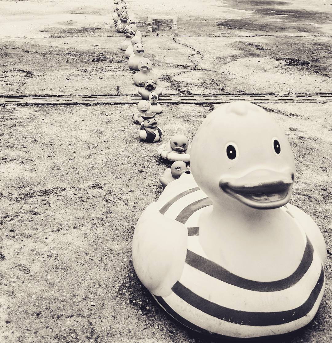 Von Instagram gerettet, leider kein Alt-Text. Sorry.