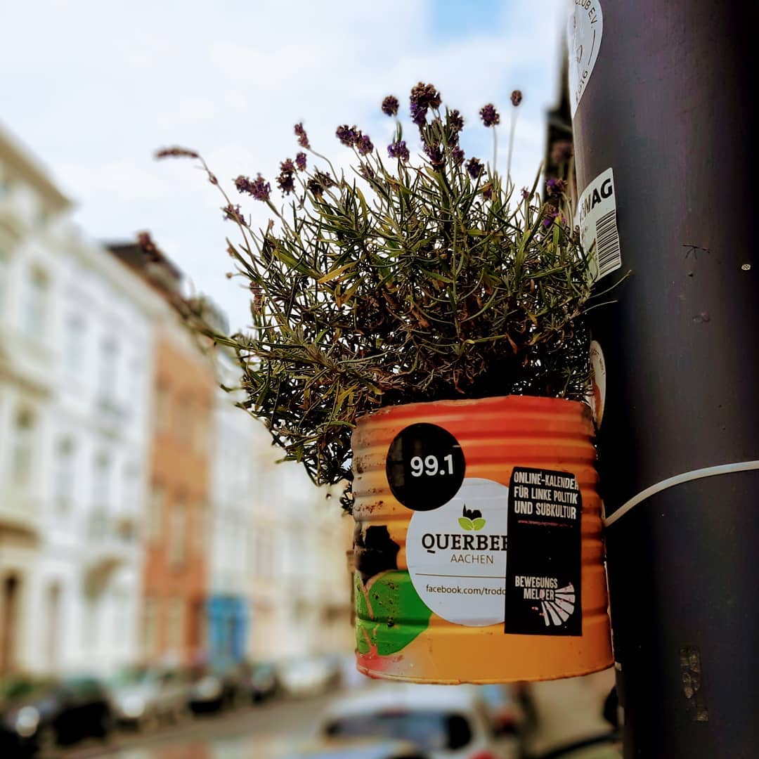 Von Instagram gerettet, leider kein Alt-Text. Sorry.