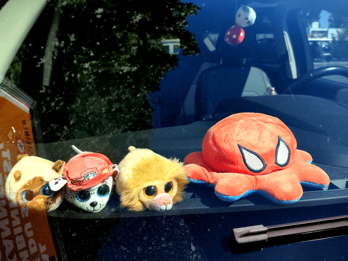 Diverse Stofftiere auf der vorderen Ablage eines Autos. Besonders auffällig ist ein Krake im Spiderman-Outfit.