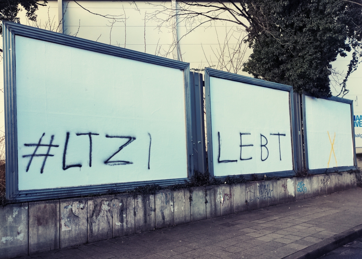 Drei leere Plakatwände mit der Aufschrift "#LTZI LEBT" und einem gelben X.
