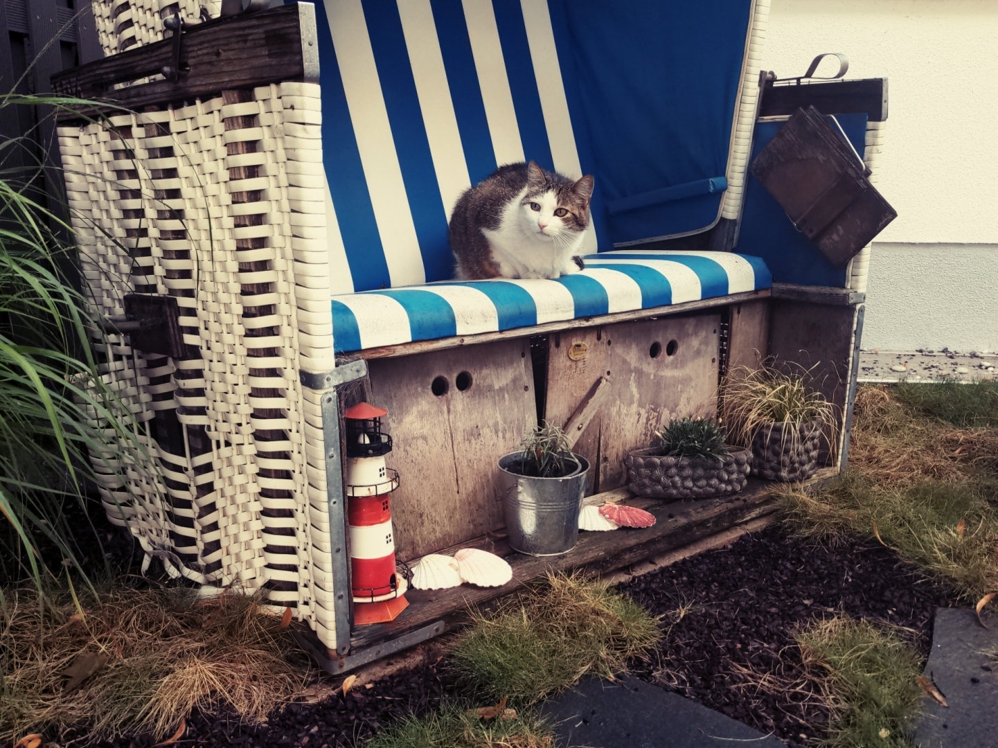 Eine Katze in einem Strandkorb.