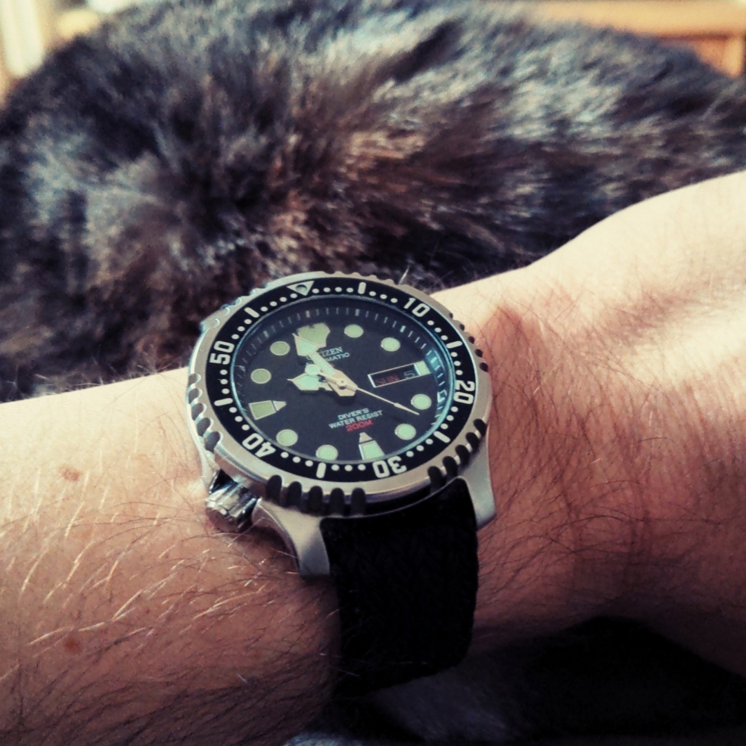 Citizen NY040