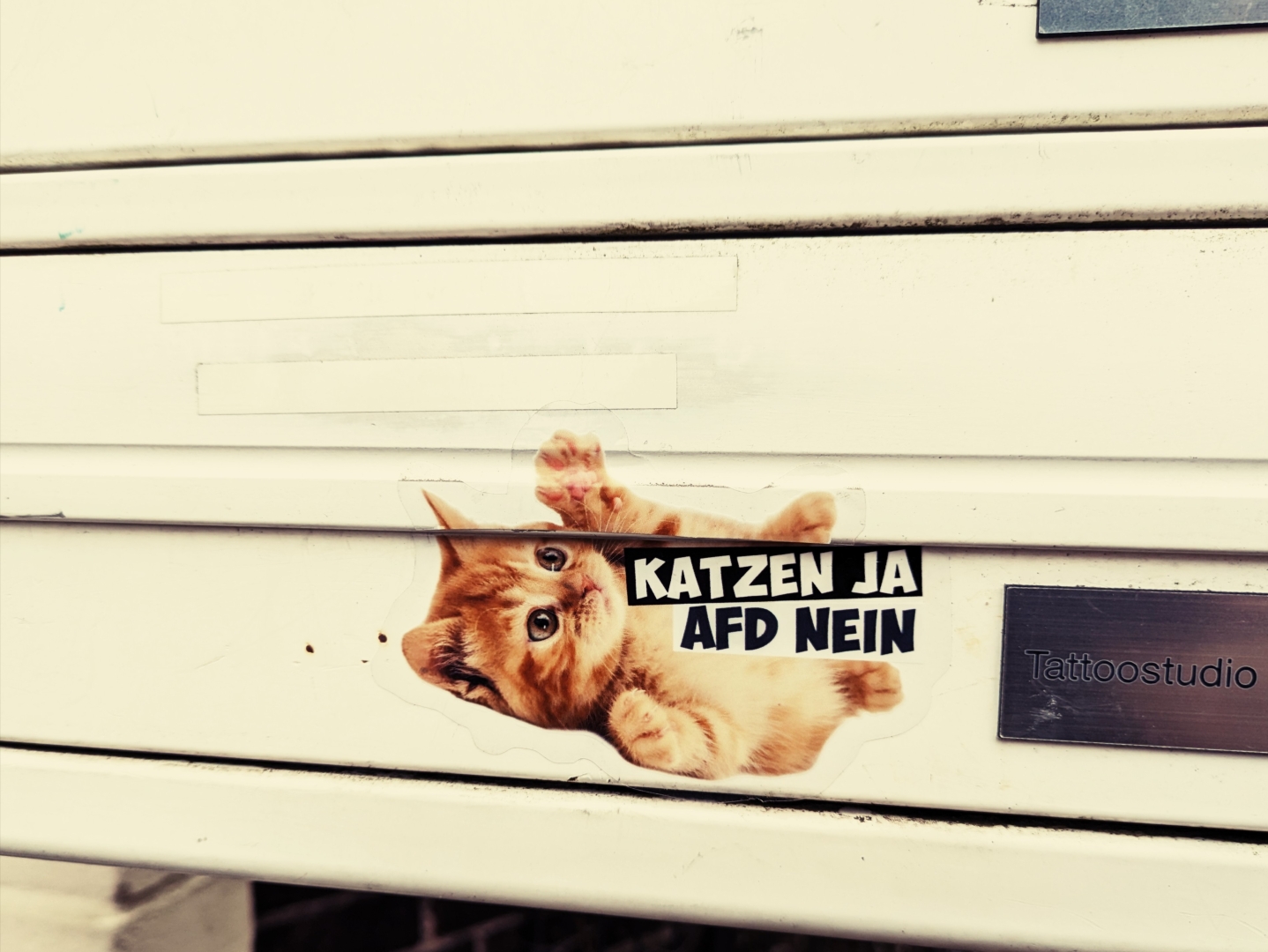 Aufkleber auf einem Briefkasten. Eine kleine Katze liegt auf dem Rücken.
"Katzen ja. AFD nein."