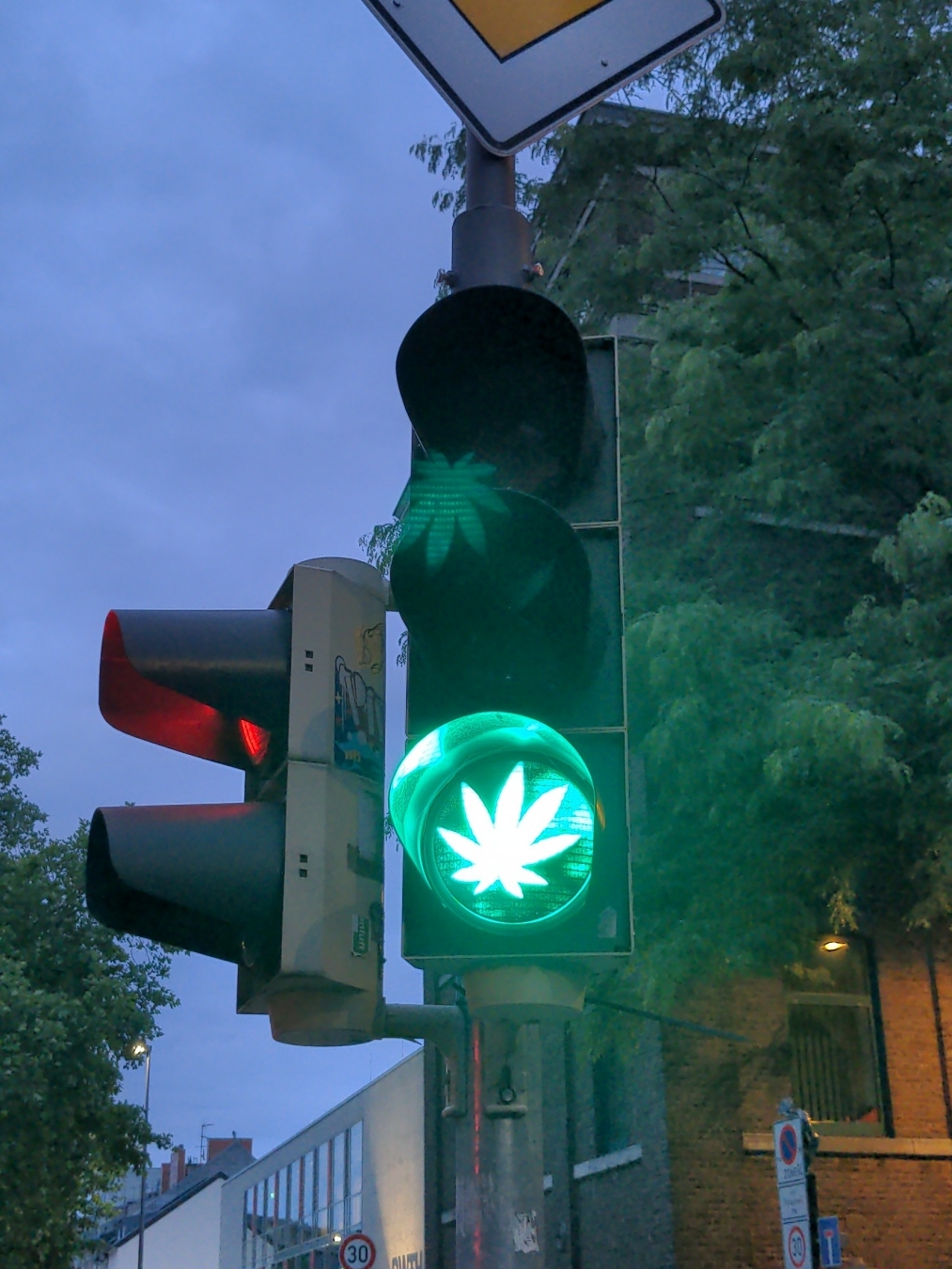 Eine Ampel, das Grün zeigt ein Hanfblatt.