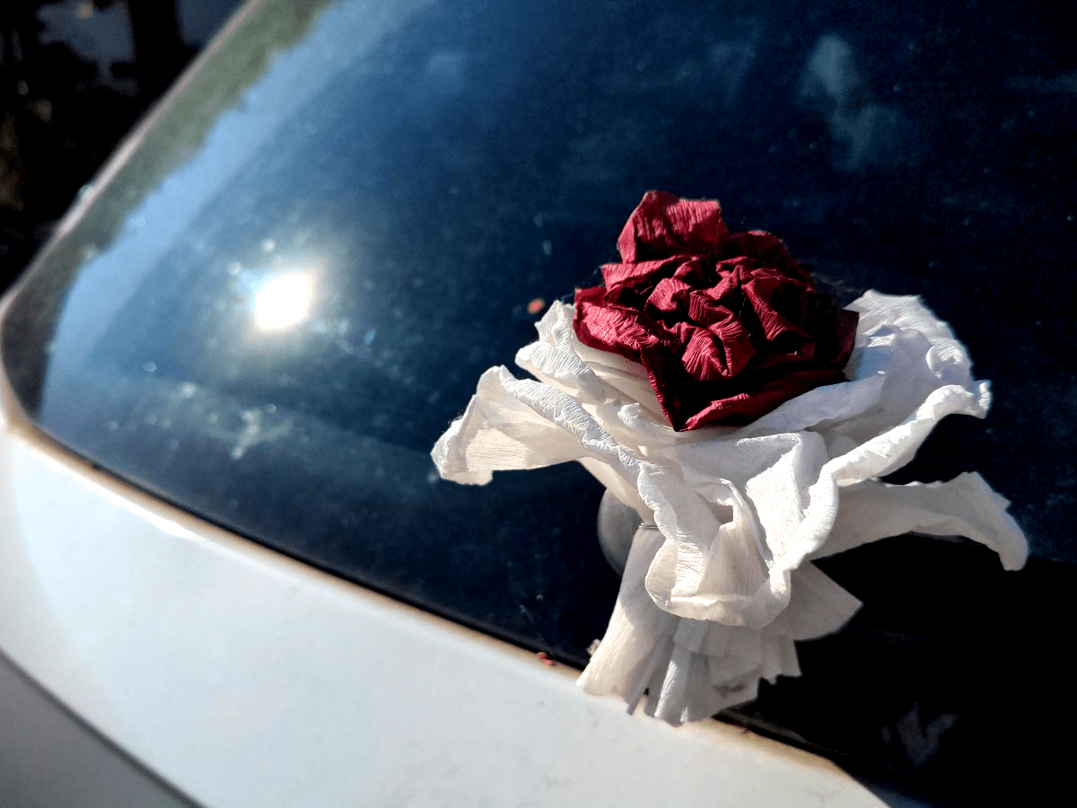 Eine (künstliche?) Rose am Heckwischer eines Autos.